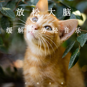 男人天堂新地址
